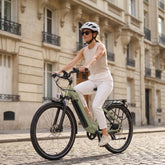 Marathon Long-Range City E-Bike - battery and motor