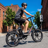 Mule Lasten-E-Bike - 20x3.0 Schwerlast - Schwarz