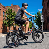 Mule Utility Cargo E-Bike - front view with rack