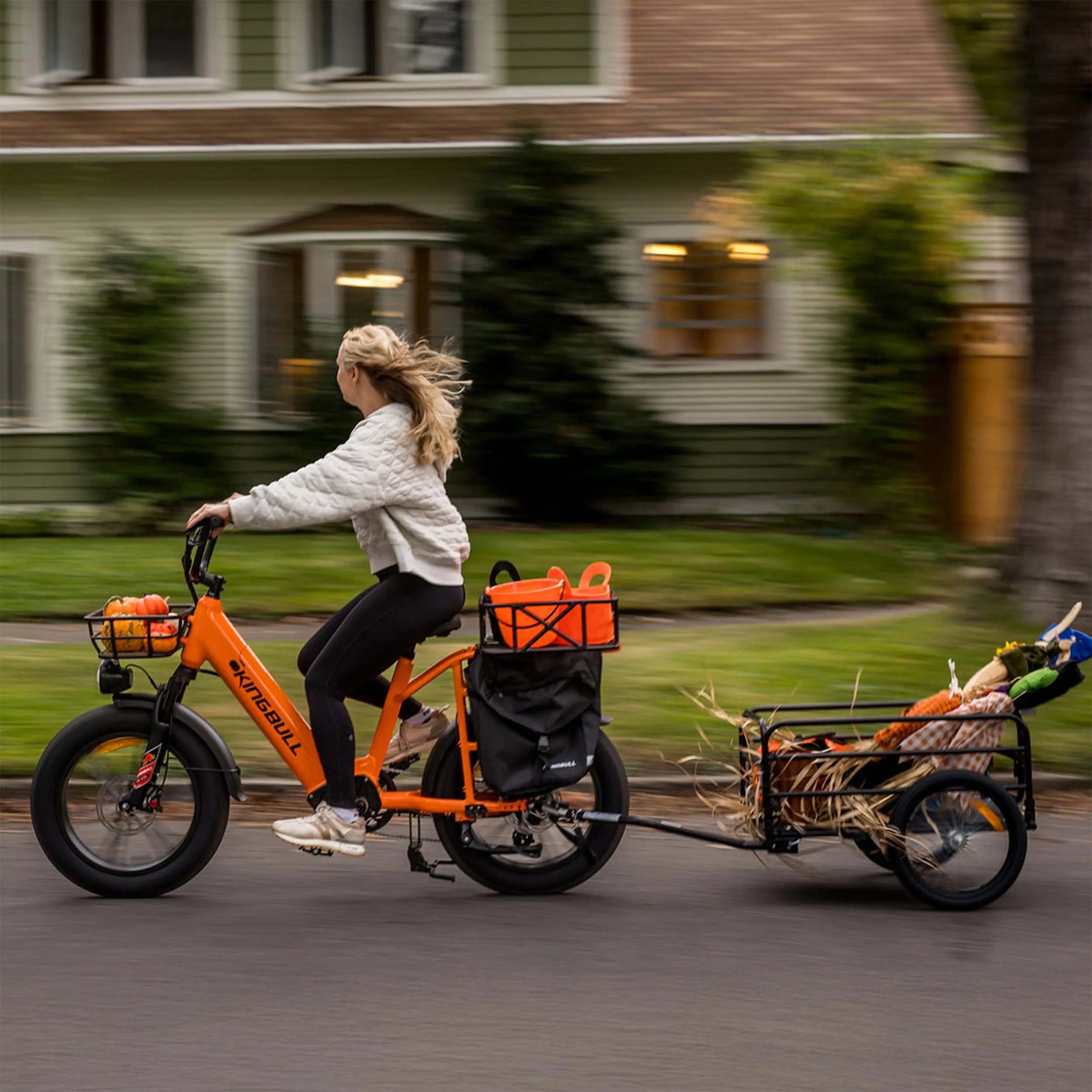 Voyager 2.0 750W Fat Tire E-Bike - all-terrain riding