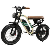 W66 Classic Fat Tire E-Bike - retro styling detail