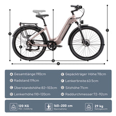 Marathon City E-Bike - 160 km Ultra-Reichweite - Salbeigrün