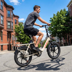 Mule Lasten-E-Bike - 20x3.0 Schwerlast - Schwarz