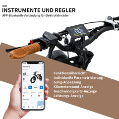 W66 Klassisches Fettreifen E-Bike - Sandbeige