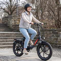 Mule Lasten-E-Bike - 20x3.0 Schwerlast - Schwarz