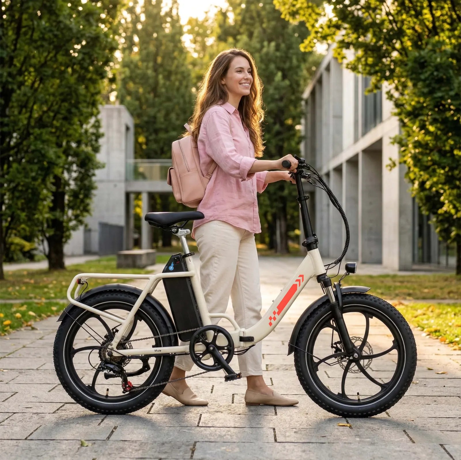Mule Utility Cargo E-Bike - front suspension