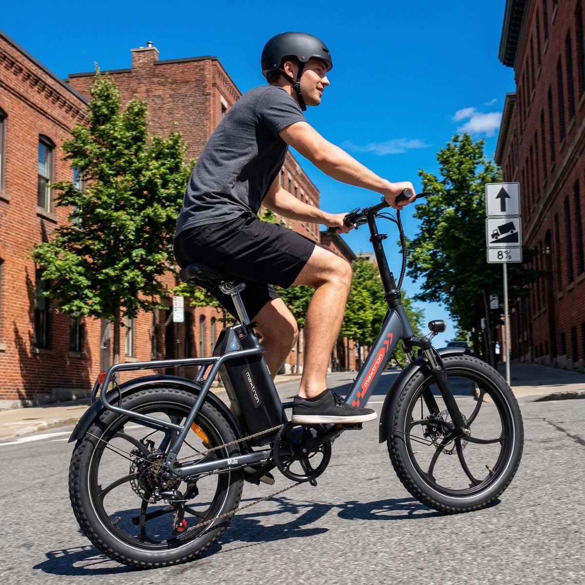 Mule Lasten-E-Bike - 20x3.0 Schwerlast - Schwarz