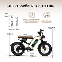 W66 Klassisches Fettreifen E-Bike - Sandbeige