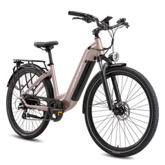 Marathon City E-Bike - 160 km Ultra-Reichweite - Salbeigrün