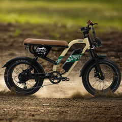 W66 Klassisches Fettreifen E-Bike - Sandbeige
