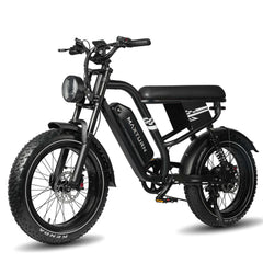  MX10 Fettreifen E-Bike - 20x4.0 All-Terrain - Schwarz/Grau