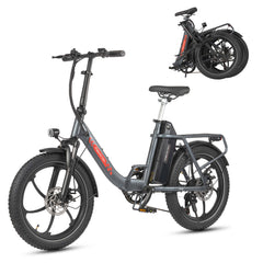 Mule Lasten-E-Bike - 20x3.0 Schwerlast - Schwarz
