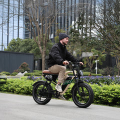 W66 Klassisches Fettreifen E-Bike - Sandbeige