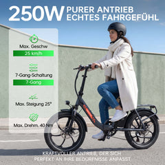 Mule Lasten-E-Bike - 20x3.0 Schwerlast - Schwarz