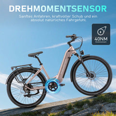Marathon City E-Bike - 160 km Ultra-Reichweite - Salbeigrün