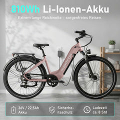 Marathon City E-Bike - 160 km Ultra-Reichweite - Salbeigrün