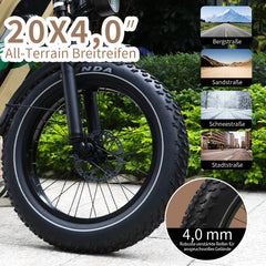 W66 Klassisches Fettreifen E-Bike - Sandbeige