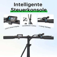 Mule Lasten-E-Bike - 20x3.0 Schwerlast - Schwarz