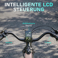 Marathon City E-Bike - 160 km Ultra-Reichweite - Salbeigrün