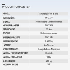 Smart30 Riemenantrieb Klapp-E-Bike - Wartungsarm - Grau