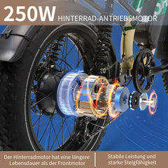 W66 Klassisches Fettreifen E-Bike - Sandbeige