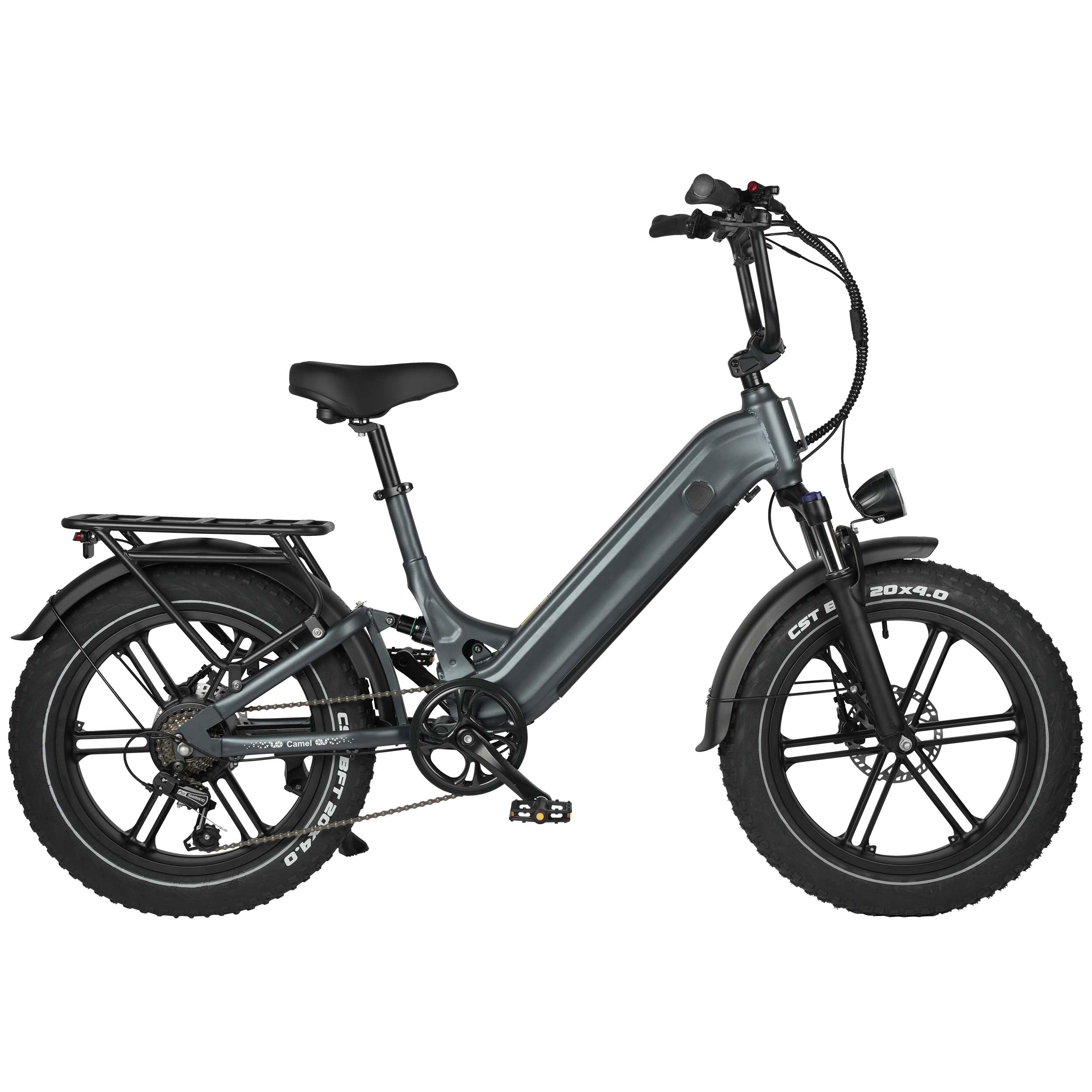 Camel Light Off-Road E-MTB - suspension fork detail