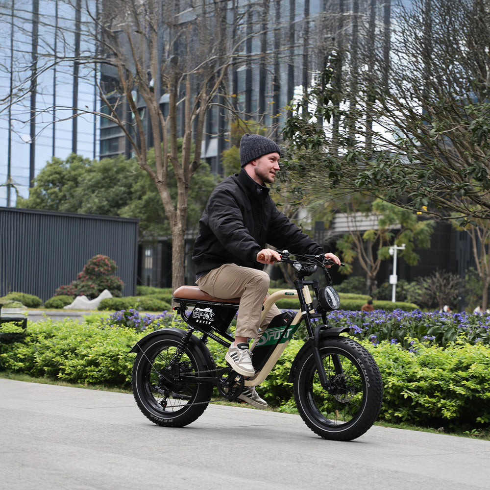 W66 Classic Fat Tire E-Bike - front view